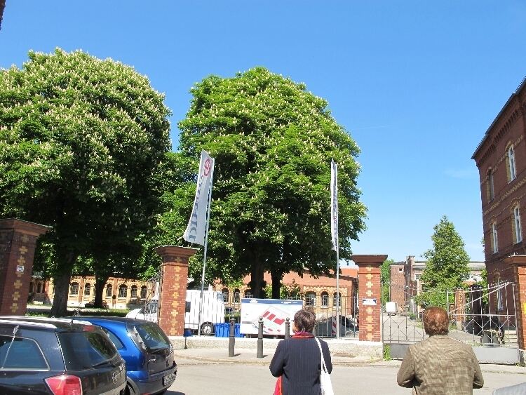 Großes Wirtschafts-Potenzial für das Textilviertel Großes Wirtschafts-Potenzial für das Textilviertel