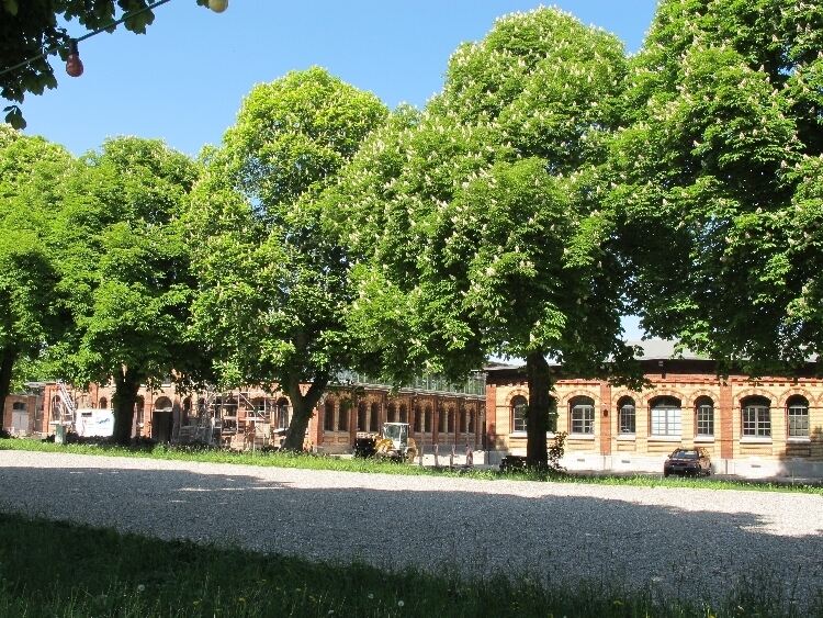 Großes Wirtschafts-Potenzial für das Textilviertel Großes Wirtschafts-Potenzial für das Textilviertel