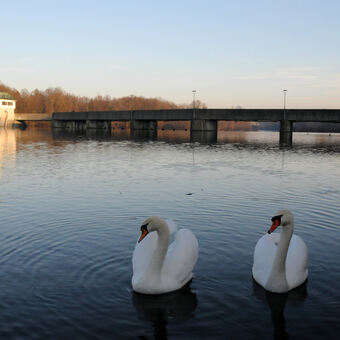 Am Hochablass soll ein neues Wasserkraftwerk der Stadtwerke Augsburg entstehen, Foto: Thomas Hosemann/swa