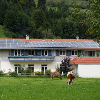 Dorr Energie GmbH