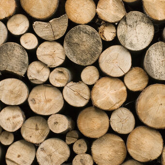 Symbolbild Holz, Bild: Fotolia 