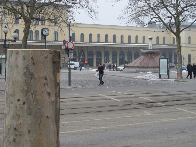 Die Vorbereitungen für den Bahnhofsumbau starten: Baumfällungen am Hauptbahnhof und in der Halderstraße, Foto: B4B SCHWABEN Die Vorbereitungen für den Bahnhofsumbau starten: Baumfällungen am Hauptbahnhof und in der Halderstraße, Foto: B4B SCHWABEN