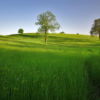 Symbolbild Landwirtschaft, Foto: Fotolia