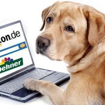 Dehner Garten Center startet die Zusammenarbeit mit Amazon.de. Foto: © malexeum - Fotolia.com/ B4B SCHWABEN/ Amazon.de/ Dehner