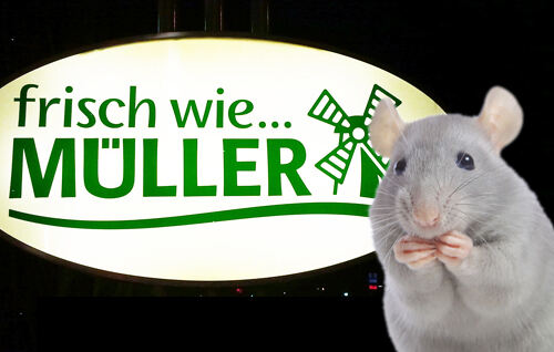 Fotomontage: Wieder Mäusekot und tote Schaben bei Müller-Brot gefunden Fotos: © B4B SCHWABEN, Naty Strawberry - Fotolia.com