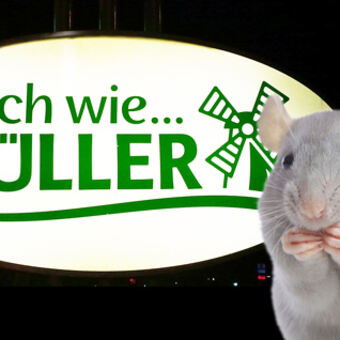 Fotomontage: Wieder Mäusekot und tote Schaben bei Müller-Brot gefunden Fotos: © B4B SCHWABEN, Naty Strawberry - Fotolia.com