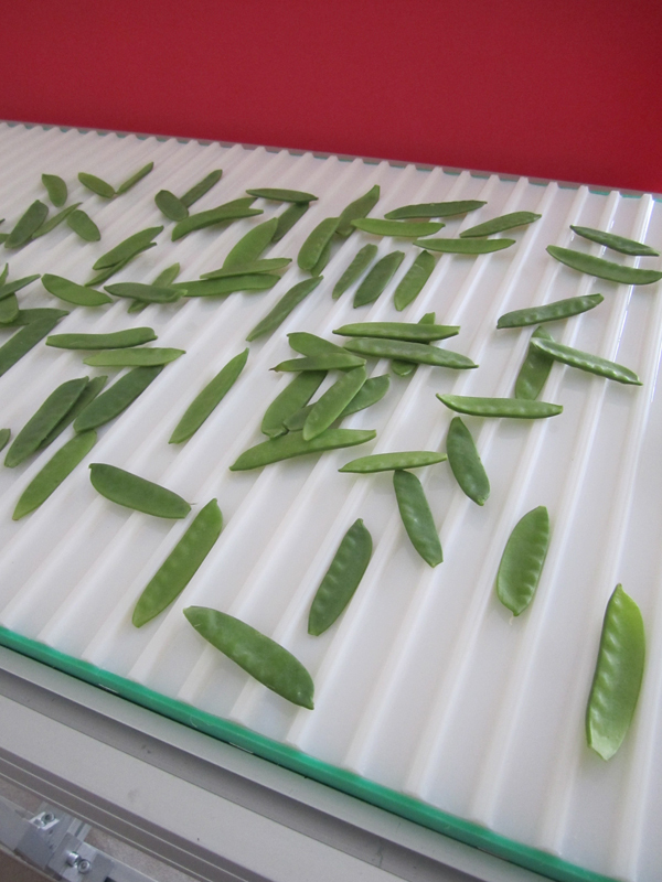 hastem Transportbänder GmbH