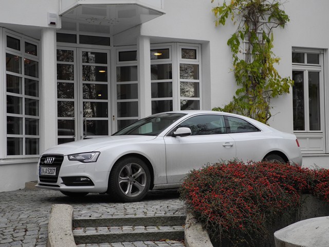 Audi A5 Coupé 3,0 TDI quattro, Foto: Dietmar Stanka