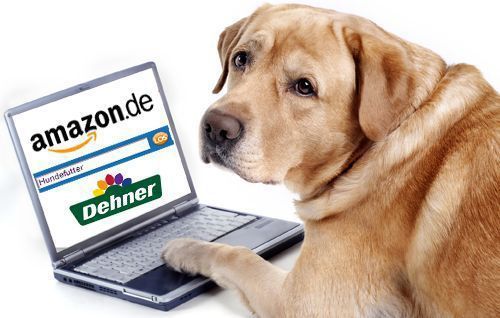 Dehner Garten Center startet die Zusammenarbeit mit Amazon.de. Foto: © malexeum - Fotolia.com/ B4B SCHWABEN/ Amazon.de/ Dehner