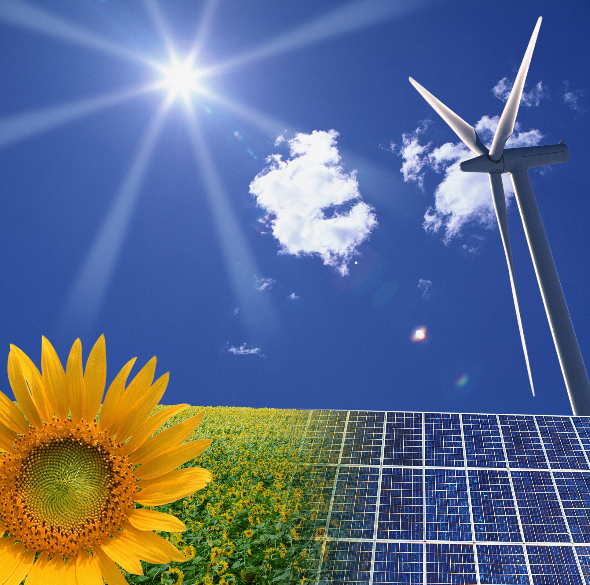 Symbolbild Klimaschutz, Foto: Fotolia