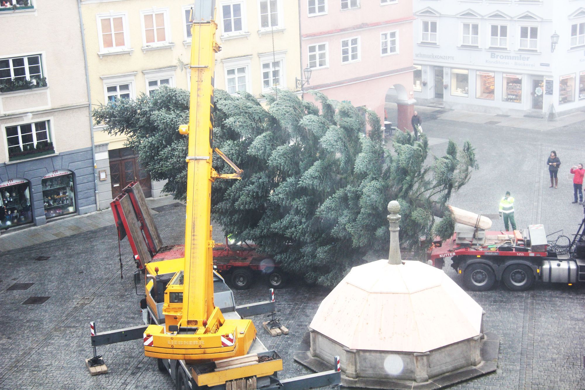 15 Meter misst der diesjährige Weihnachtsbaum auf dem Memminger Marktplatz, Foto: Pressestelle Stadt Memmingen