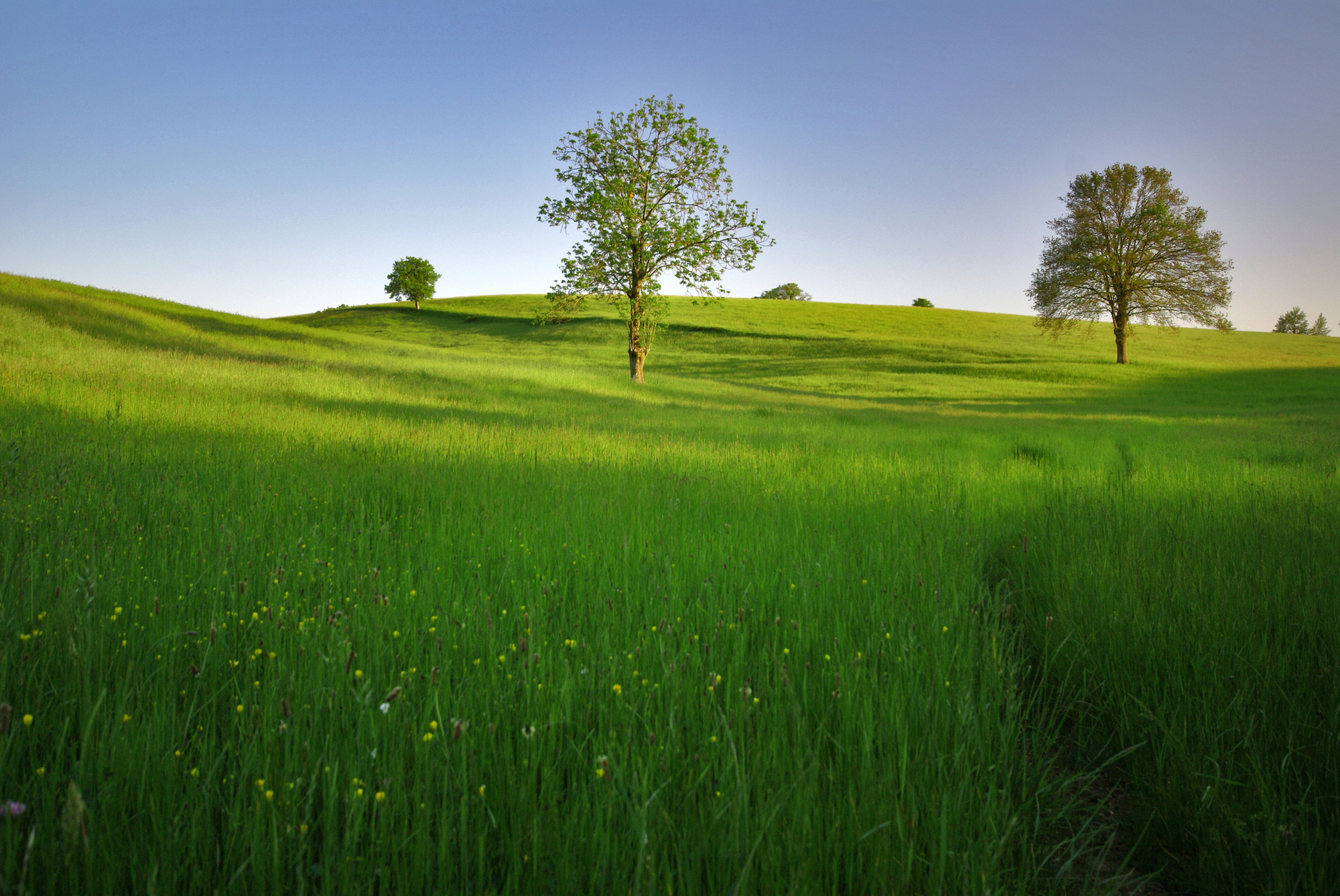 Das Blautal beherbergt viele seltene Tier- und Pflanzenarten. Foto: fotolia.de