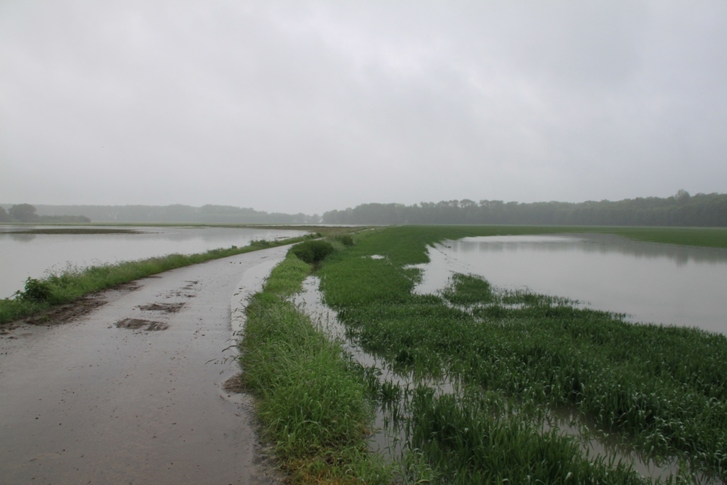Im Landkreis Dillingen hält das Hochwasser nicht nur die Feuerwehr in Atem, Foto: Freiwillige Feuerwehr Dillingen