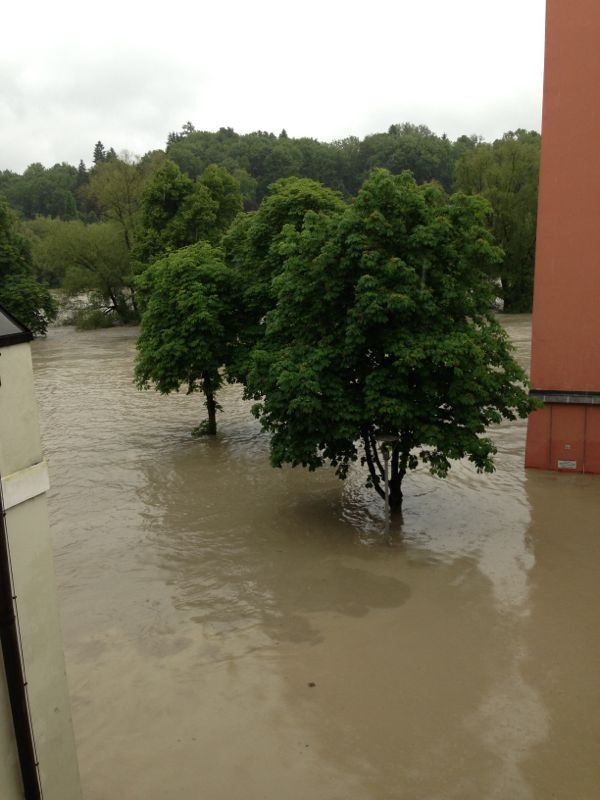 Hochwasser. Bildquellen: Privat/ B4B SCHWABEN