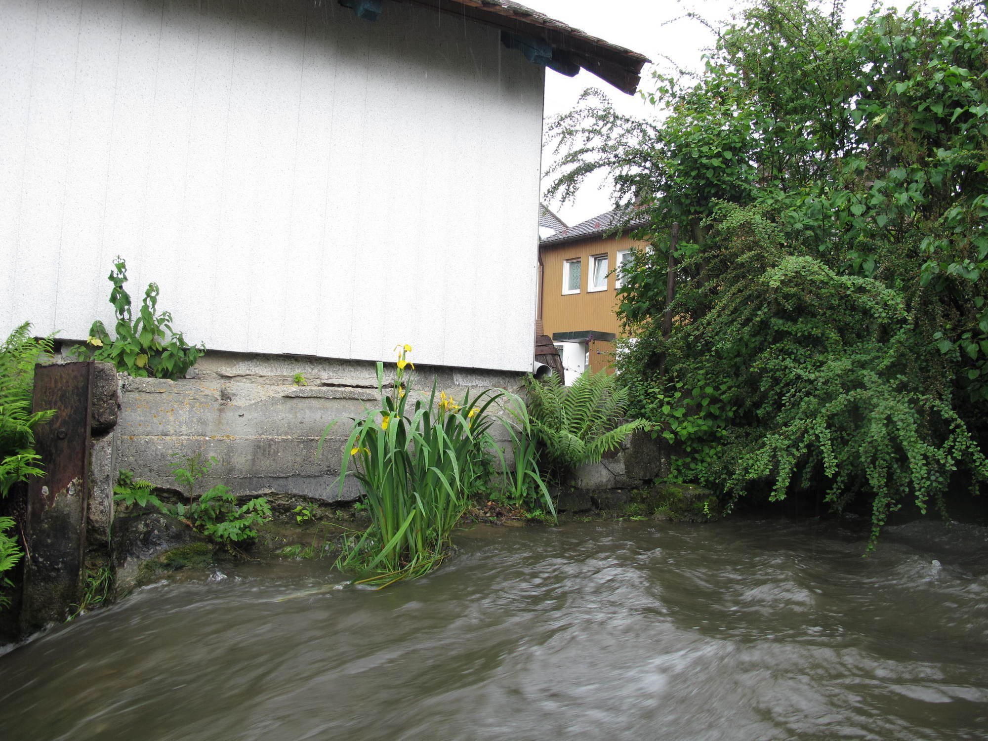 Die Paar schwillt an: Hochwassergefahr in Aichach-Friedberg