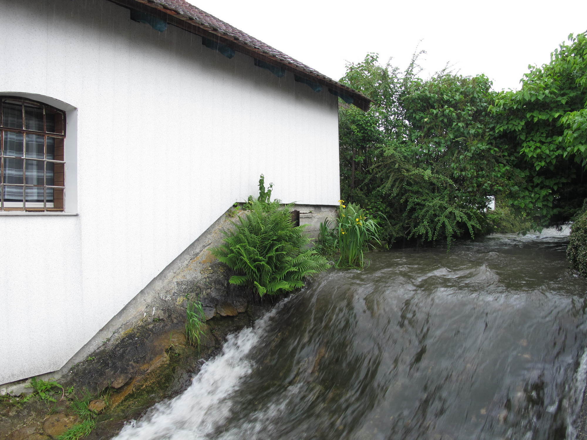 Die Paar schwillt an: Hochwassergefahr in Aichach-Friedberg
