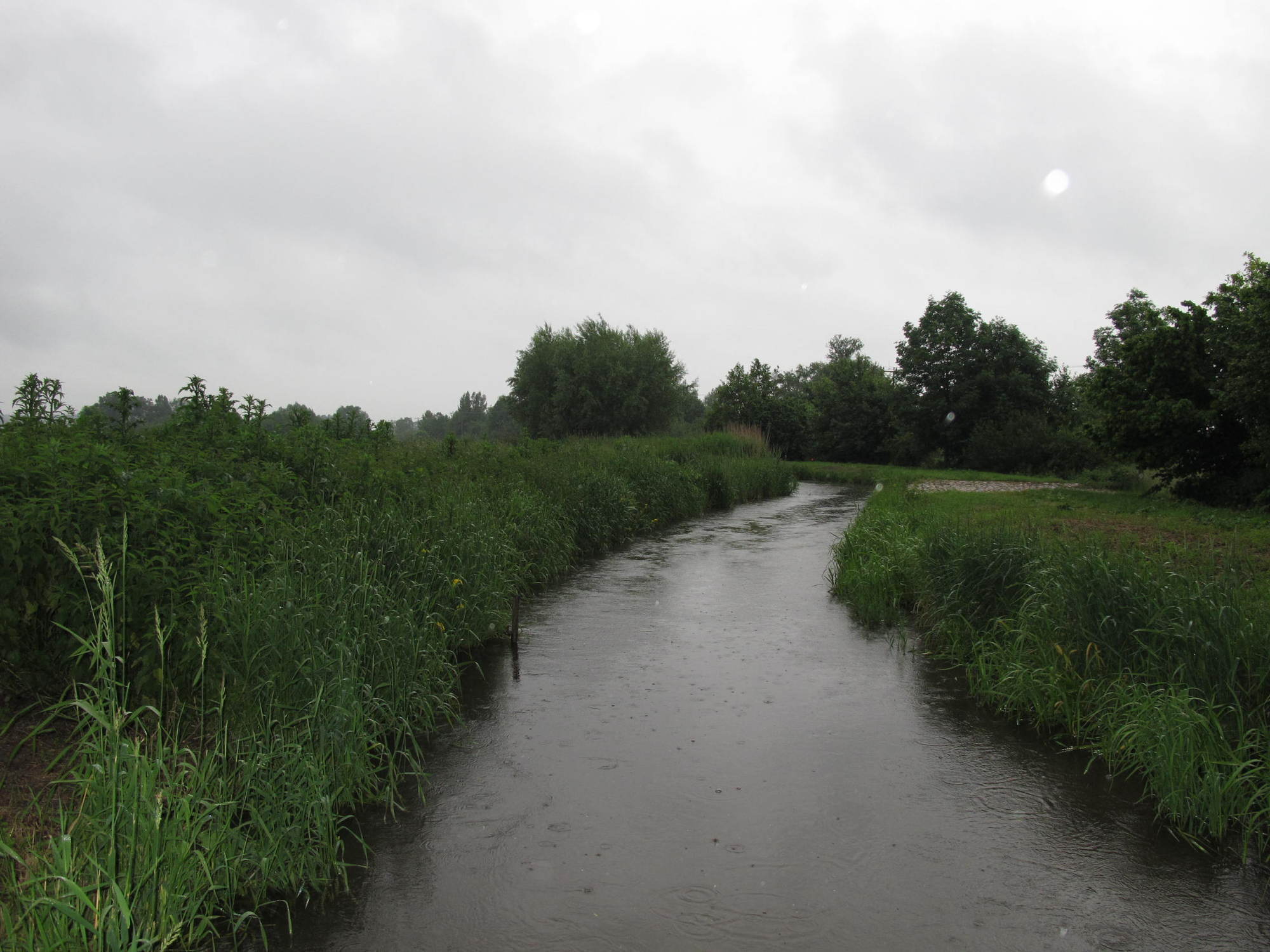 Die Paar schwillt an: Hochwassergefahr in Aichach-Friedberg
