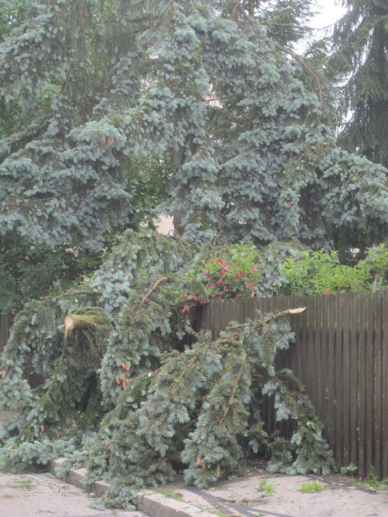 Unwetter Fotos der B4B SCHWABEN Leser aus Augsburg und Umgebung Fotos: privat
