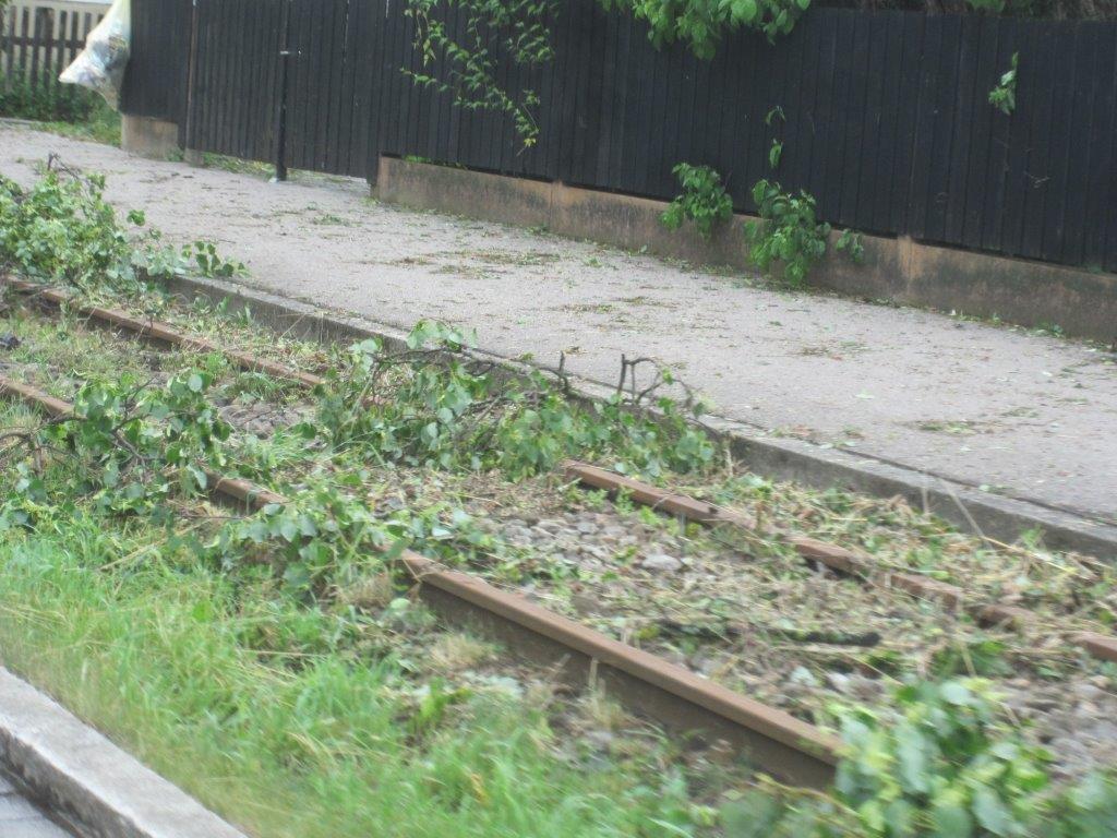 Unwetter Fotos der B4B SCHWABEN Leser aus Augsburg und Umgebung Fotos: privat