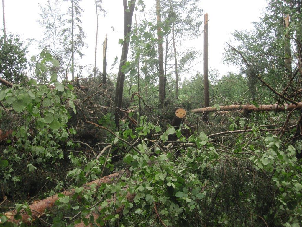 Unwetter Fotos der B4B SCHWABEN Leser aus Augsburg und Umgebung Fotos: privat