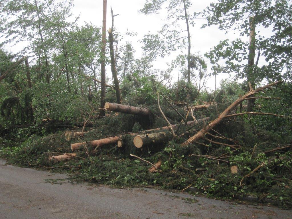 Unwetter Fotos der B4B SCHWABEN Leser aus Augsburg und Umgebung Fotos: privat