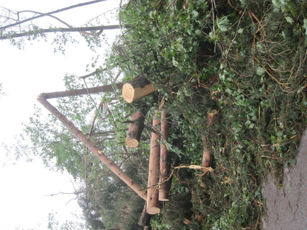 Unwetter Fotos der B4B SCHWABEN Leser aus Augsburg und Umgebung Fotos: privat