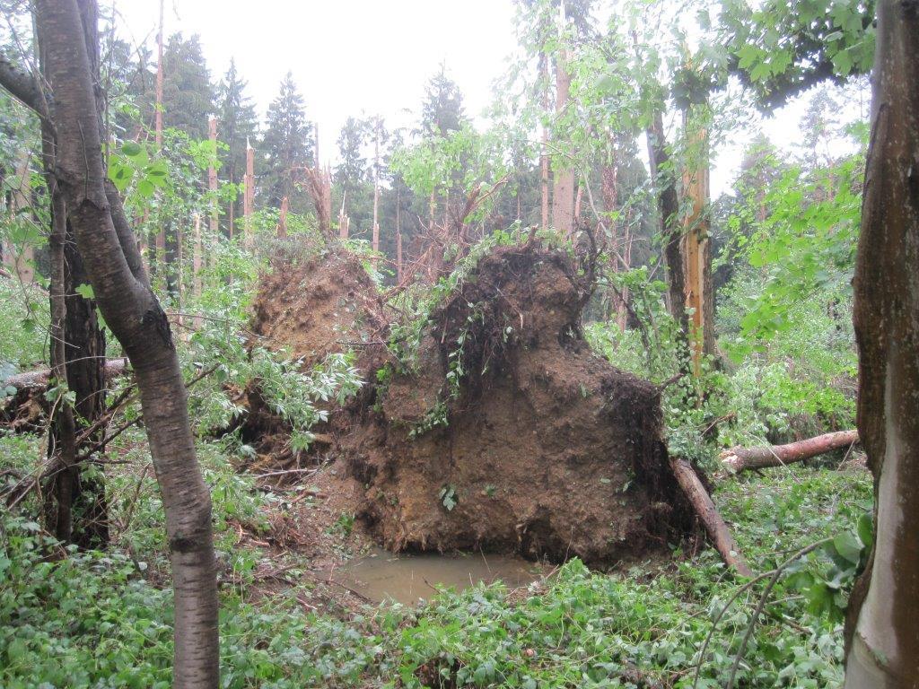 Unwetter Fotos der B4B SCHWABEN Leser aus Augsburg und Umgebung Fotos: privat