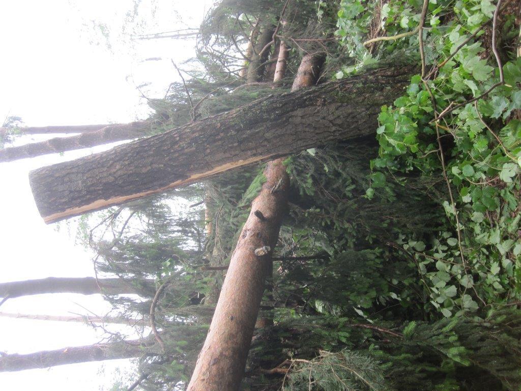 Unwetter Fotos der B4B SCHWABEN Leser aus Augsburg und Umgebung Fotos: privat