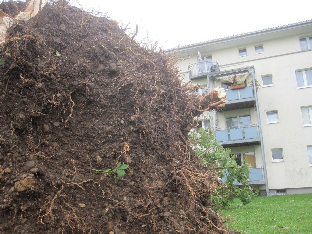 Unwetter Fotos der B4B SCHWABEN Leser aus Augsburg und Umgebung Fotos: privat
