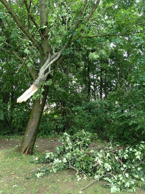 Auch das Bad im Bärenkeller hielt dem Unwetter nicht stand, Foto: Sport- und Bäderamt Augsburg/Peter Grab