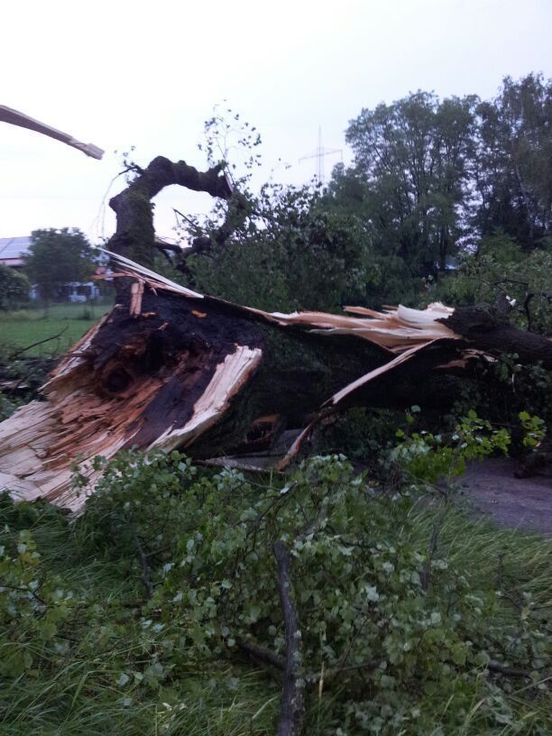 Das Unwetter hinterließ Chaos pur in Augsburg Stadt und Land. Fotos: THW