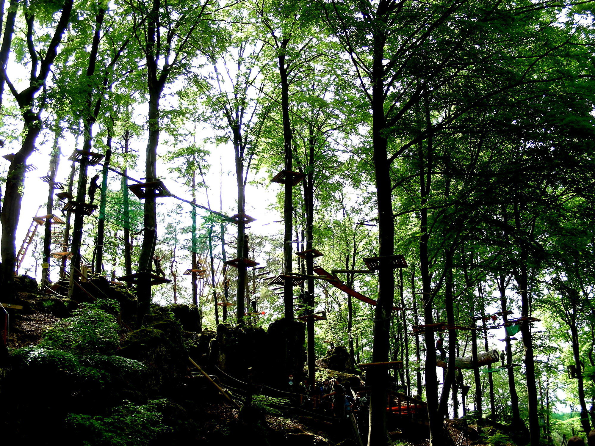 Hochseilgarten. Foto: Hartmut910 / pixelio.de