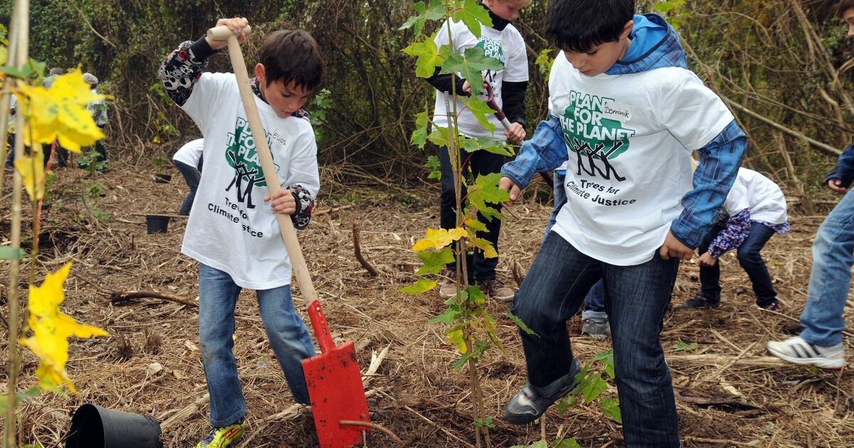 Dehner Blumen Hotel: Kinder pflanzen Bäume für den Planeten