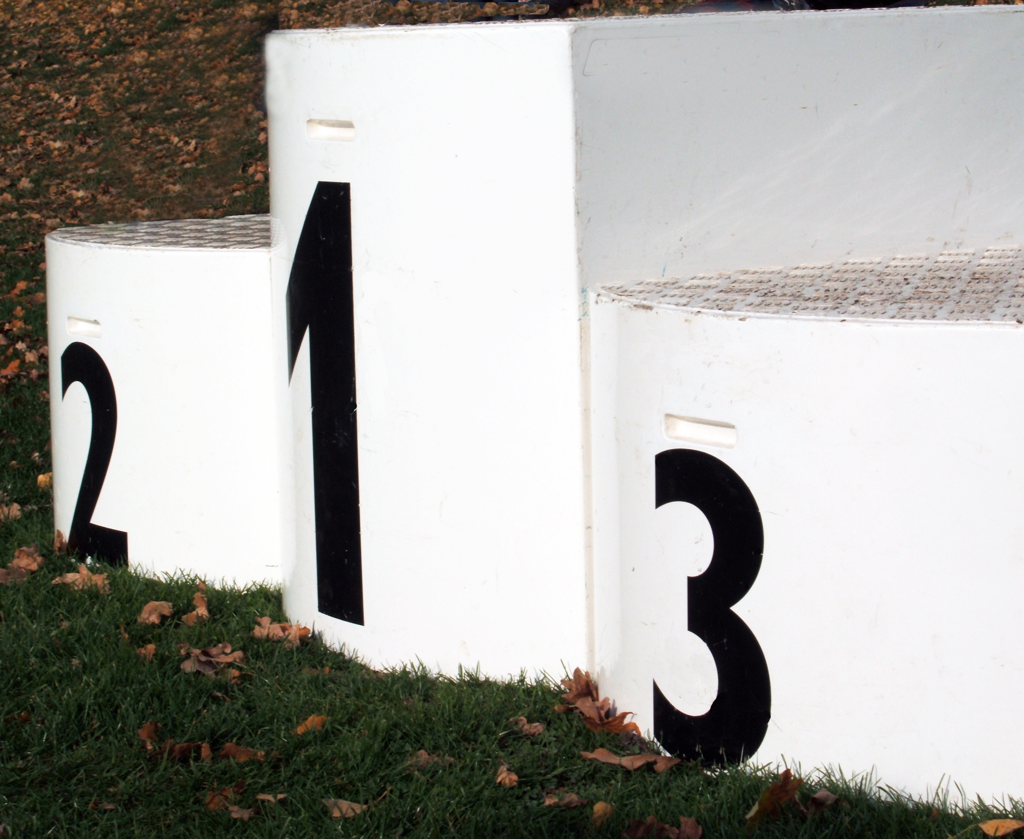 Die Leser des Fachmagazins "Der fortschrittliche Landwirt" wählen Fendt zur Nummer 1. Foto: Ute Pelz/pixelio