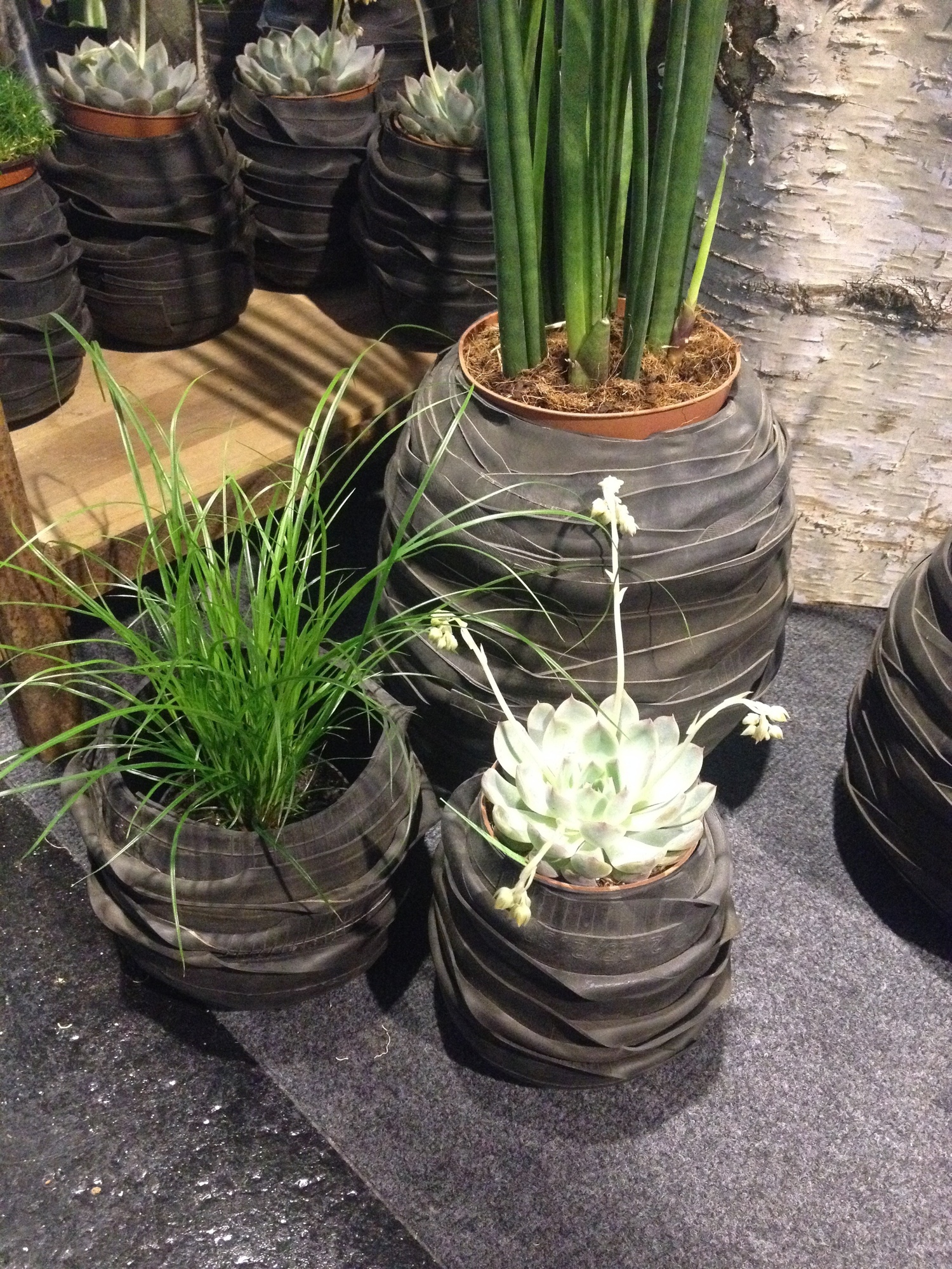 Frühlingsgefühle bei der IBO und ihren Schwesternmessen in der Messe Friedrichshafen. Foto: B4B SCHWABEN