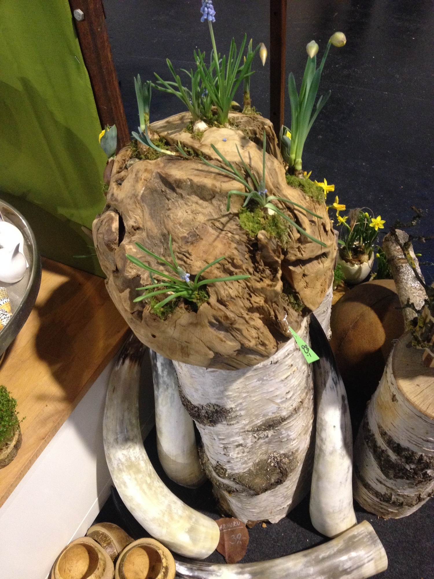 Frühlingsgefühle bei der IBO und ihren Schwesternmessen in der Messe Friedrichshafen. Foto: B4B SCHWABEN