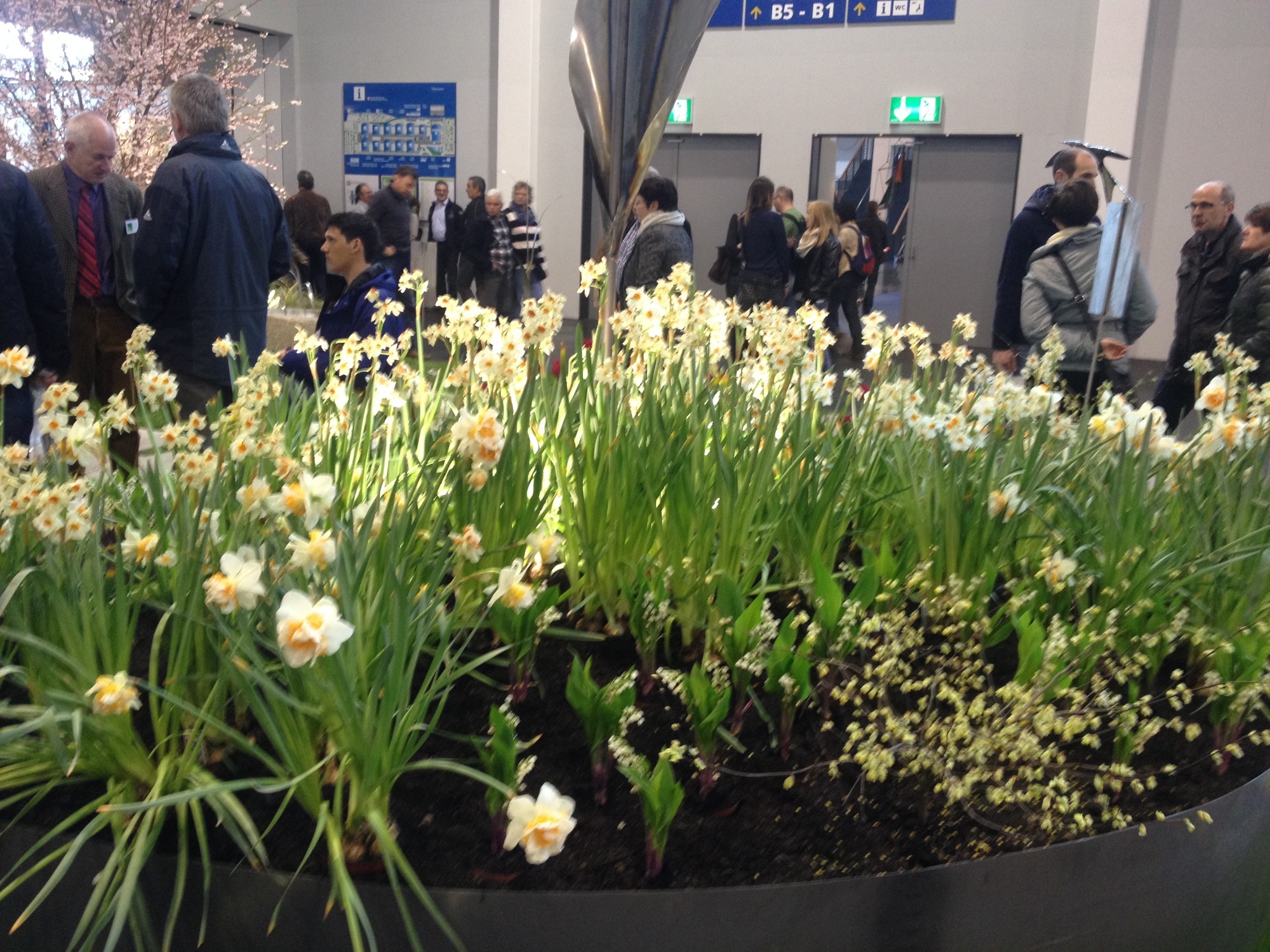 Frühlingsgefühle bei der IBO und ihren Schwesternmessen in der Messe Friedrichshafen. Foto: B4B SCHWABEN