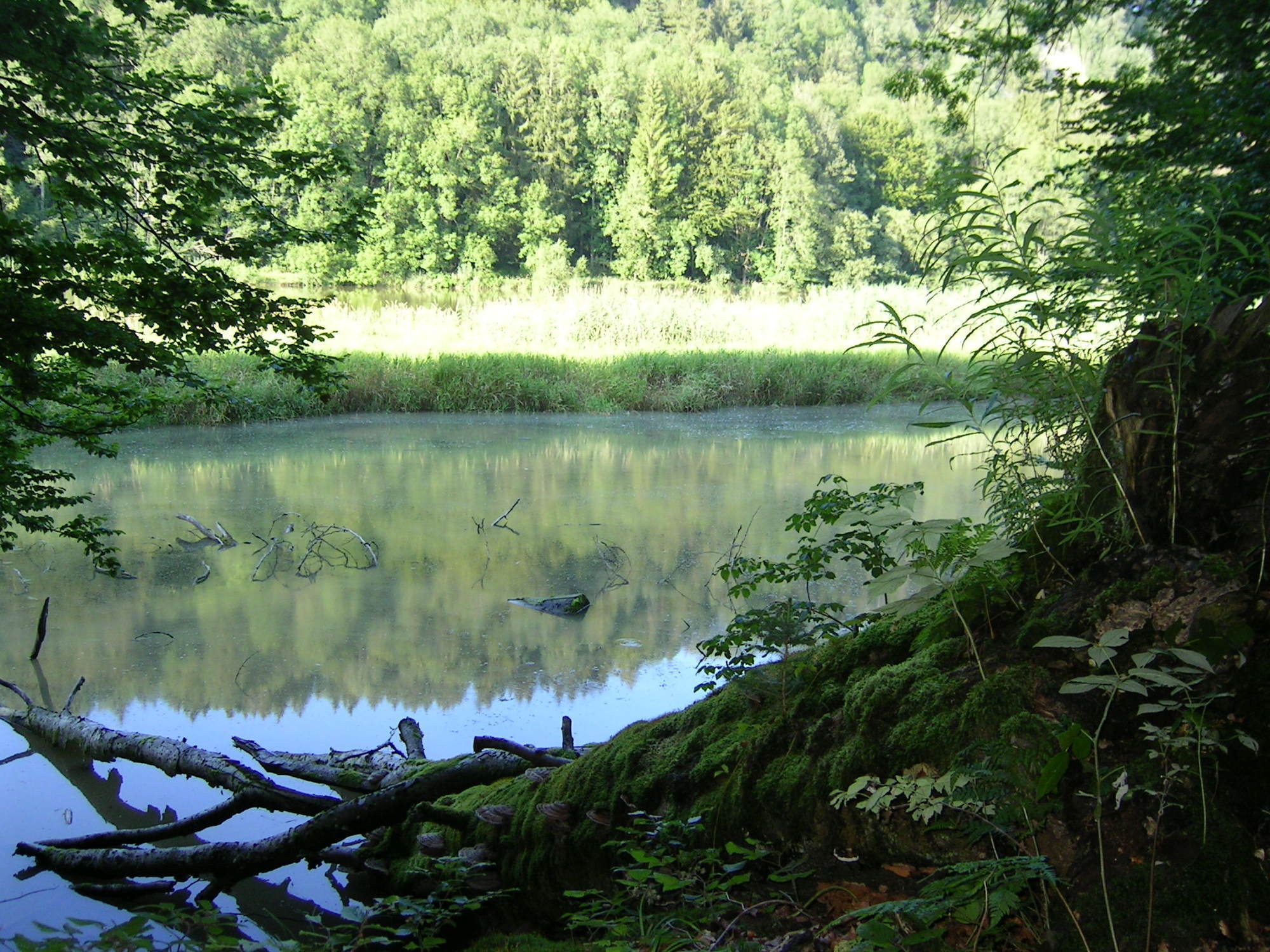 Der Landkreis Unterallgäu bietet seinen Bewohnern eine besonders hohe Lebensqualität. Foto: Beate Herbst / pixelio.de