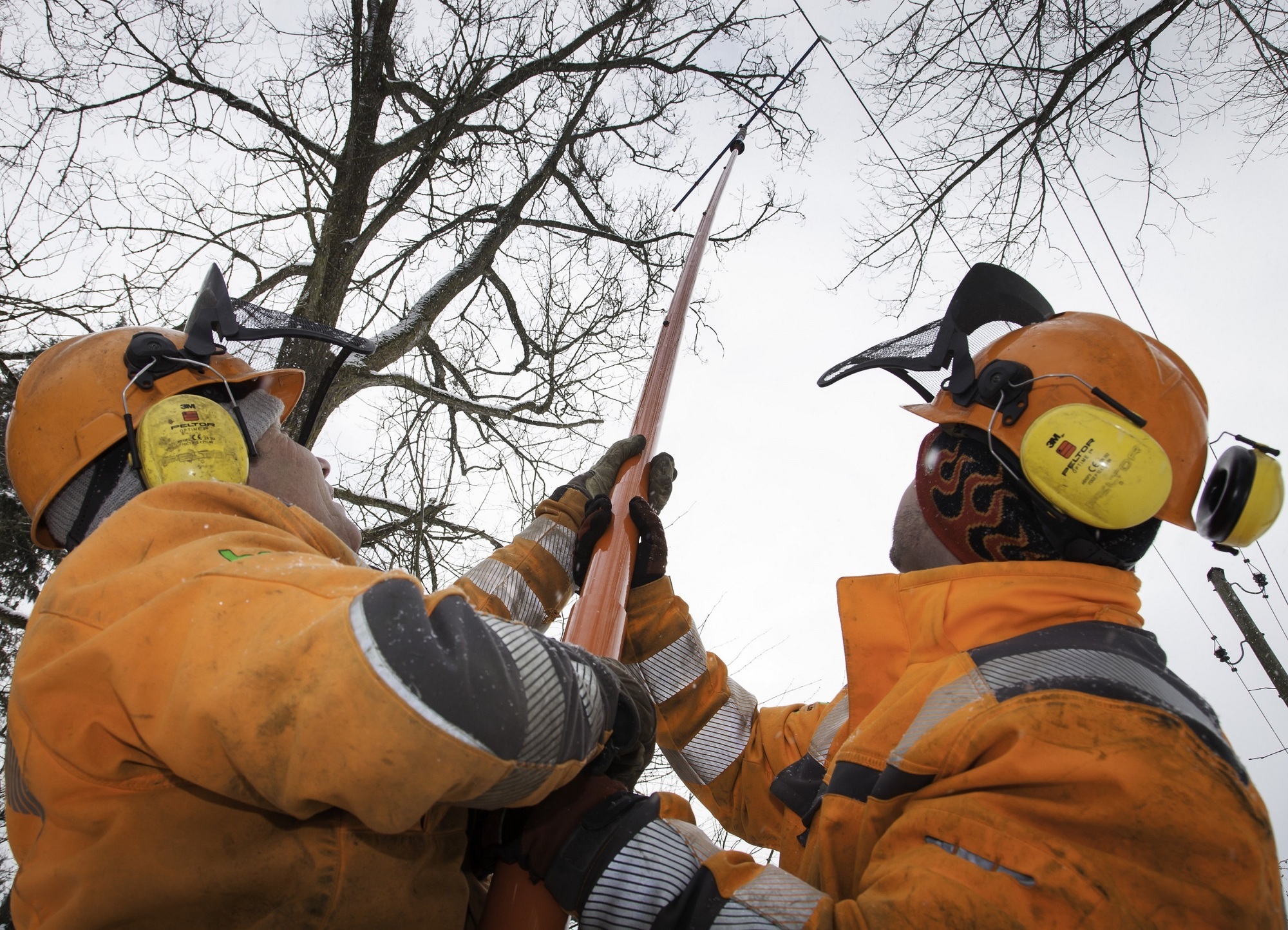 Ausastarbeiten von LEW an den Leitungstrassen. Foto: LEW