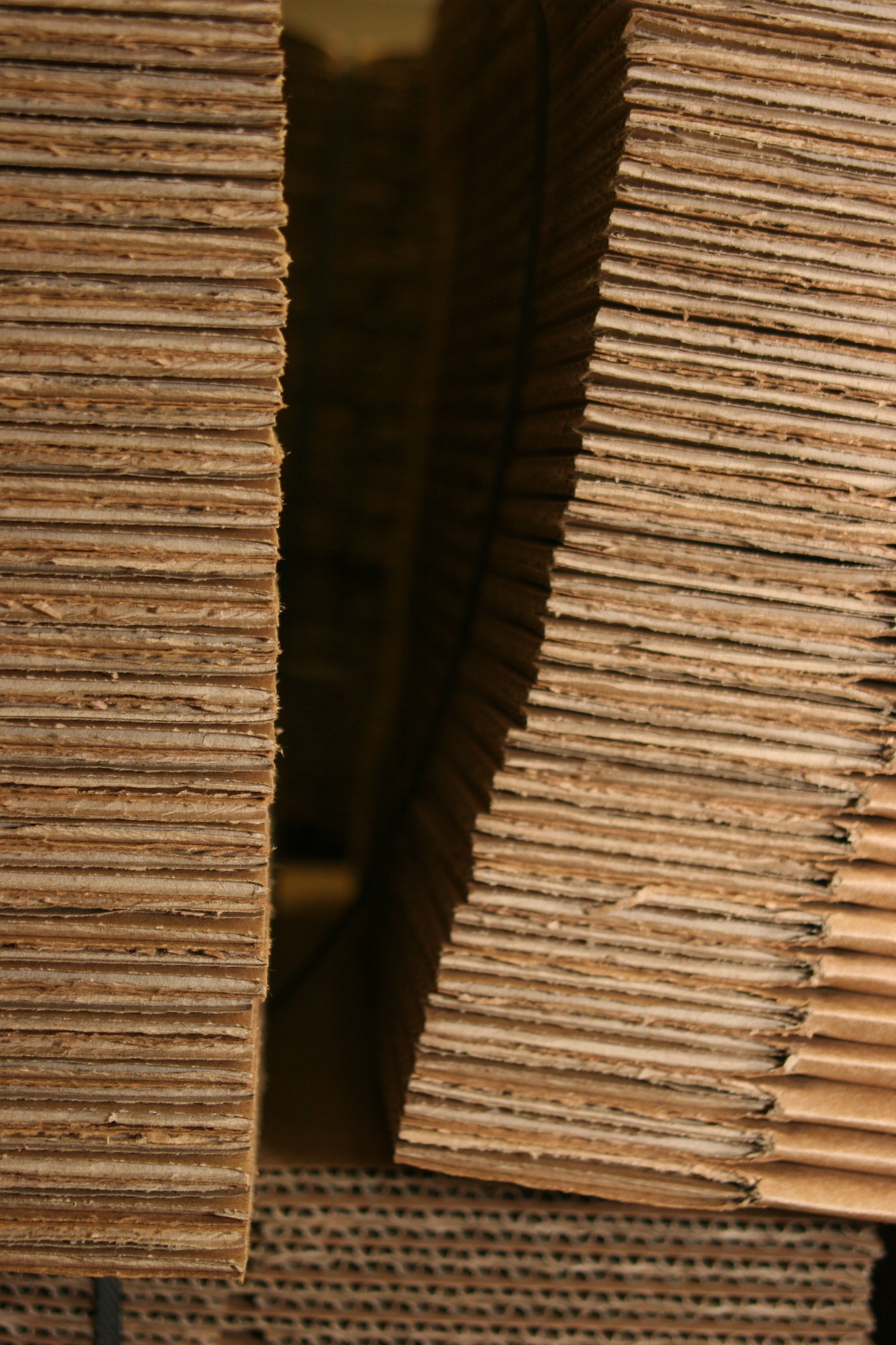 Eine hohe Konsumneigung zieht einen entsprechenden Bedarf an Verpackungen nach sich. Foto: soli3 / pixelio.de