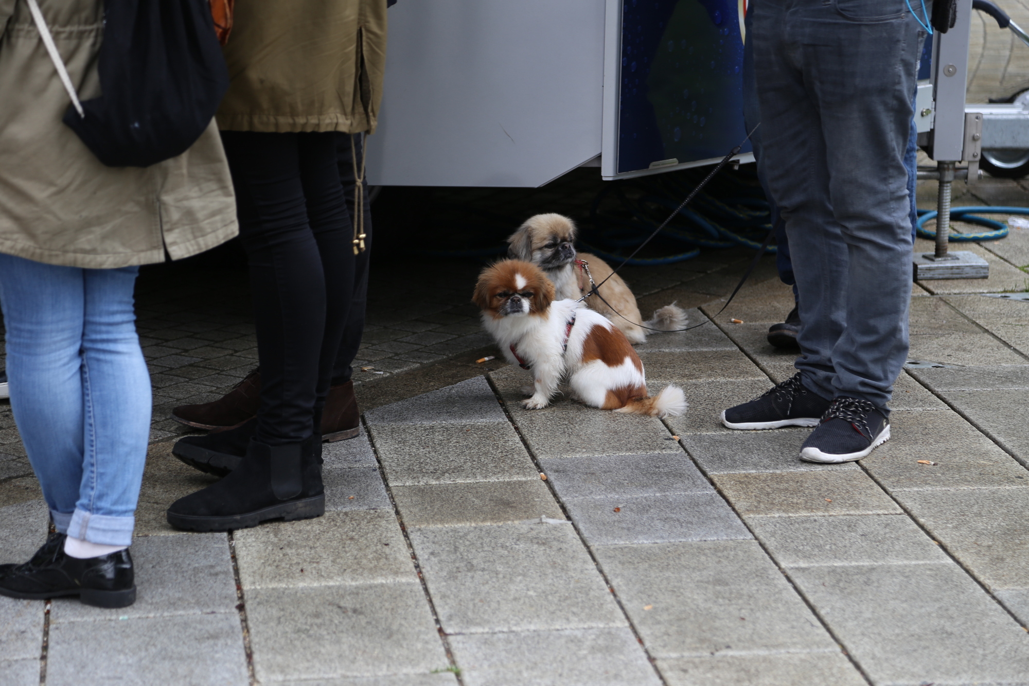 "Sonntag in the City" - Augsbuger Innenstadtfest vom Regen nicht zu bremsen