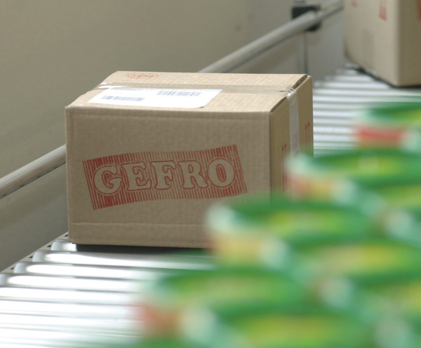 Weißkäse-Produktion in Schongau. Foto: GEFRO