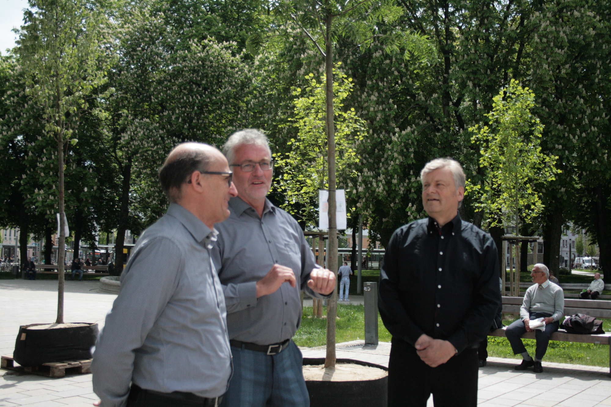 Mit „Klimahain Augsburg“ in eine grüne und nachhaltige Zukunft. Foto: B4B SCHWABEN