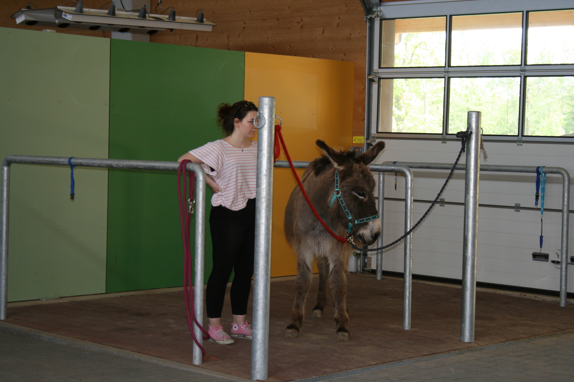 Am 8. Mai 2015 wurde das Therapiezentrum Ziegelhof in Stadtbergen offiziell eröffnet. Foto: B4B SCHWABEN