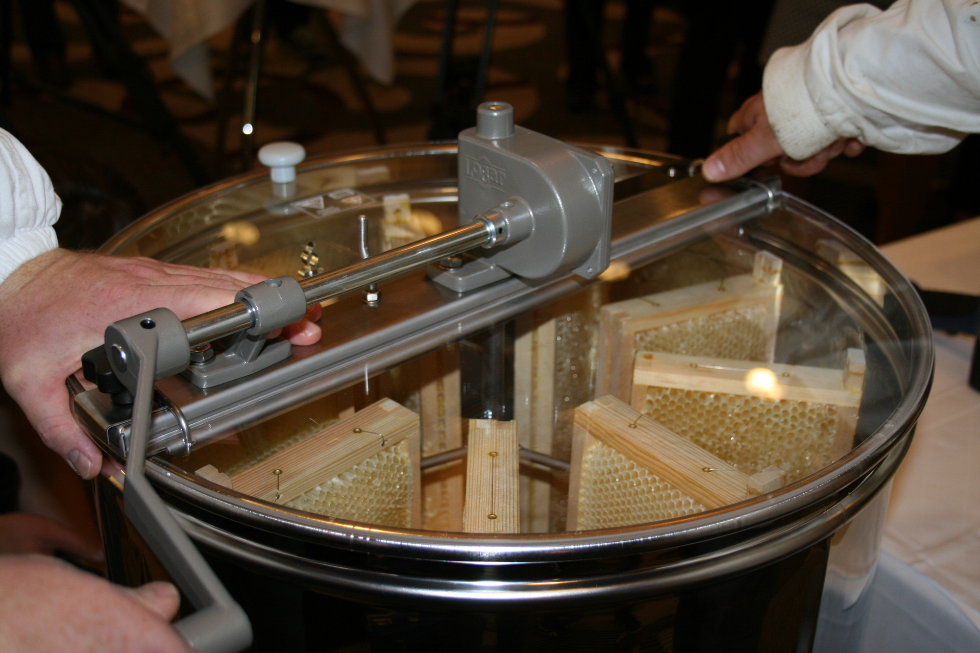 Seit April 2015 gibt es die Bienenstöcke auf dem Hoteldach des Steigenberger Hotel Drei Mohren in Augsburg. Foto: B4B SCHWABEN