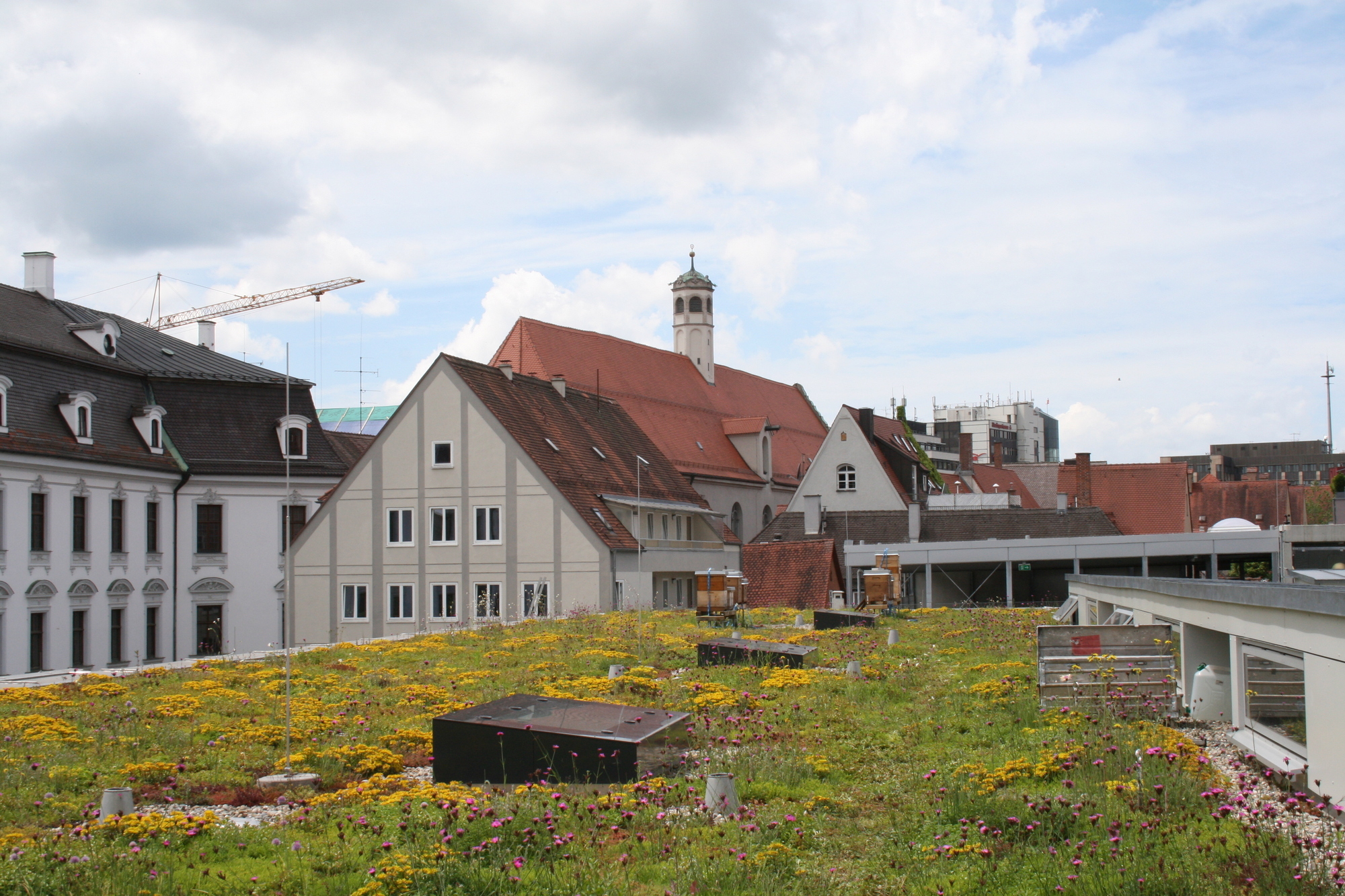Seit April 2015 gibt es die Bienenstöcke auf dem Hoteldach des Steigenberger Hotel Drei Mohren in Augsburg. Foto: B4B SCHWABEN