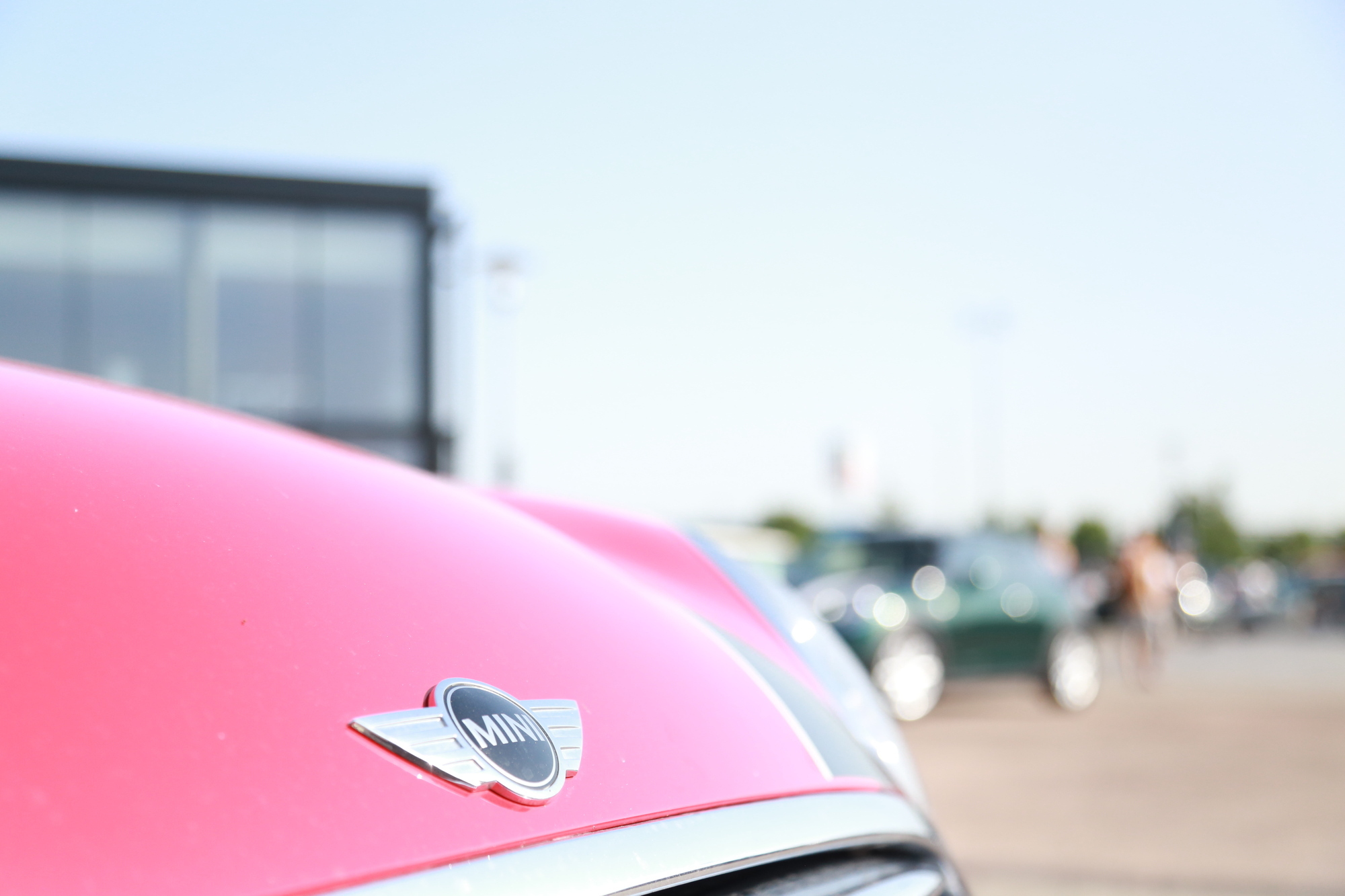 Reisacher bringt 152 MINIs auf die Straße bei MINIS ON TOUR 5.0