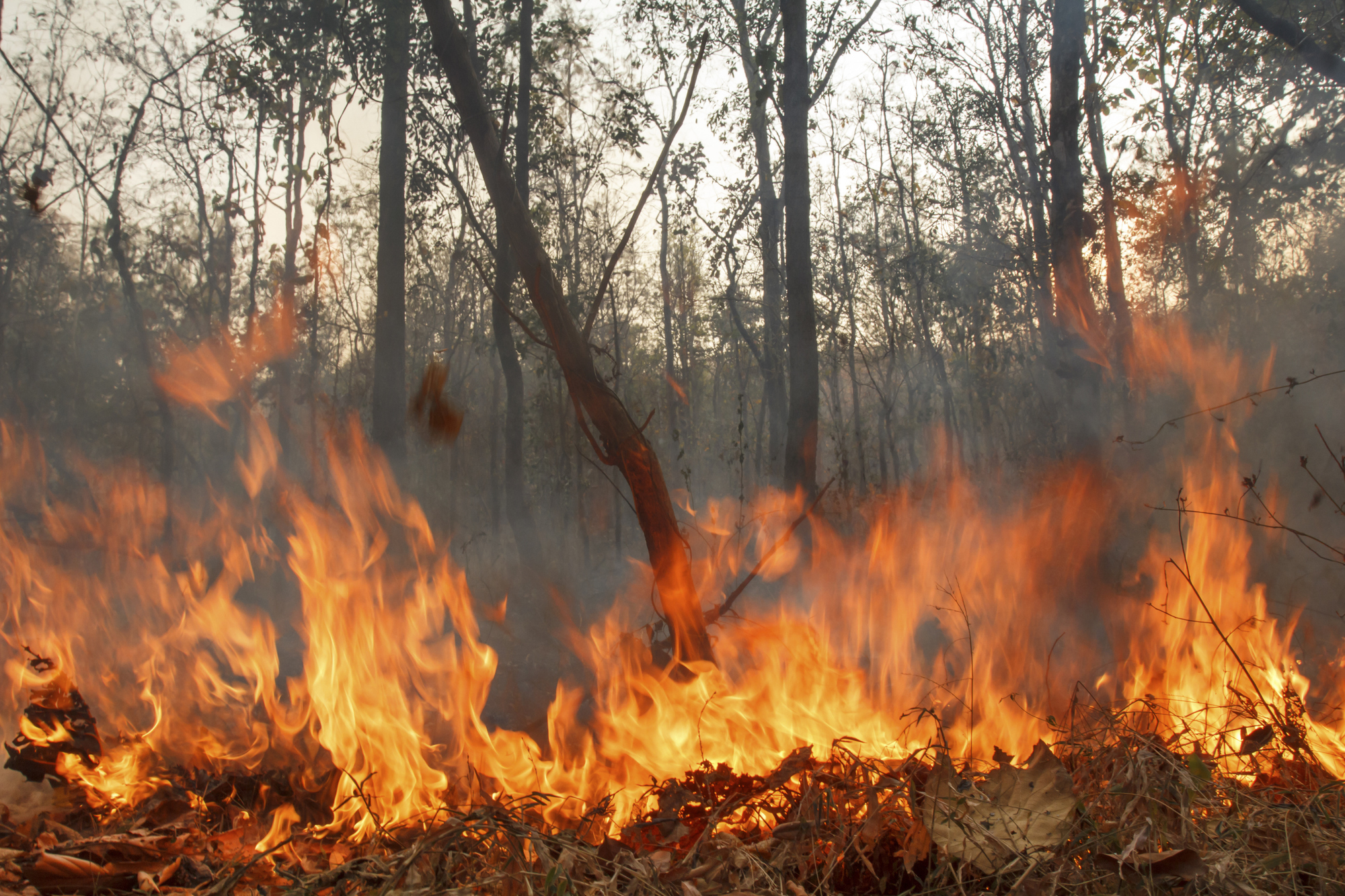 Symbolbild. Foto: Toa55 / iStock / thinkstock