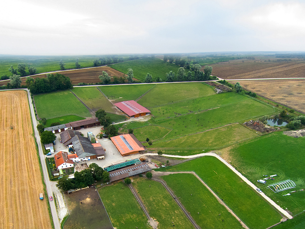 Susanne Engelhardts Straußenfarm Donaumoos. Foto: Straußenfarm Donaumoos