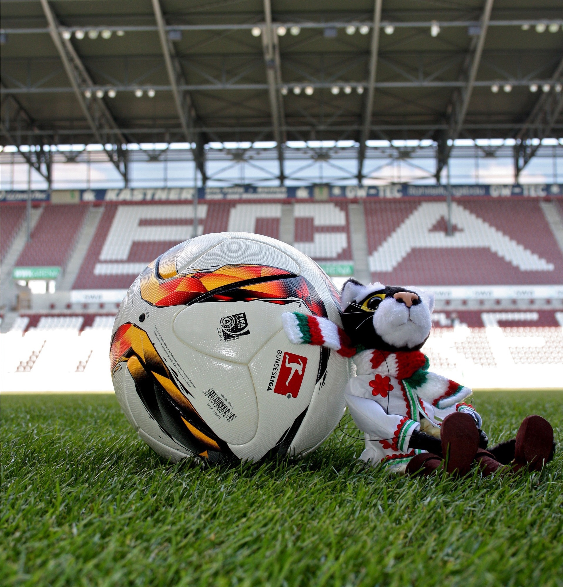 FCA verschenkt Kater Mikesch an Gegner. Foto: FCA